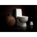 Унитаз-компакт Sanita Luxe (Санита Люкс) Best (Бест) для ванной комнаты и туалета